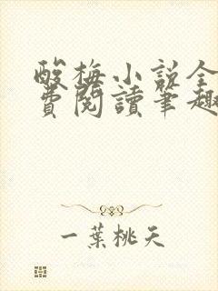 酸梅小说全文免费阅读笔趣阁