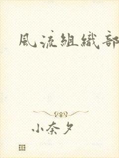 风流组织部长