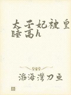 太子妃被皇上强睡高h