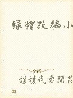 绿帽改编小说