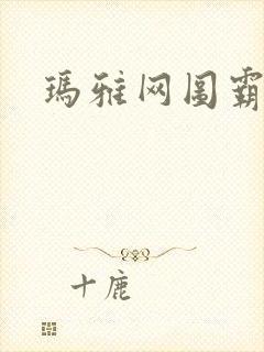 玛雅网图霸天下