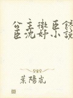 公主微臣馋了微臣沈妤小说封面