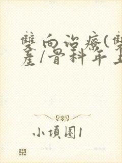 双向治疗(双/产/骨科年上)