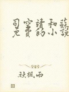 司空靖和苏月汐免费的小说笔趣阁