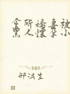 会所娇妻被多个黑人怀孕小说封面