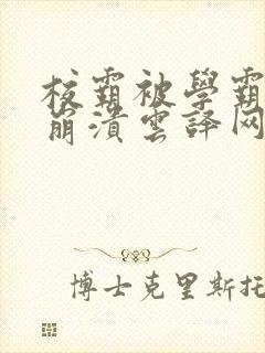 校霸被学霸玩到崩溃云译网封面