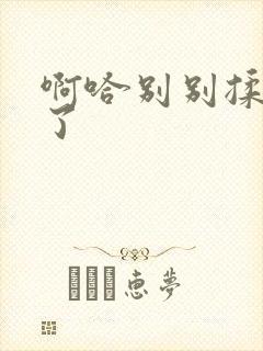 啊哈别别揉那处了