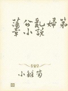 荡公乱妇第51章小说封面