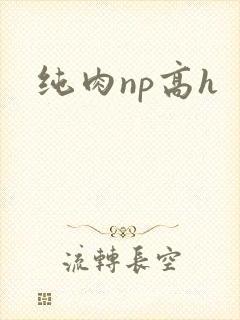 纯肉np高h封面