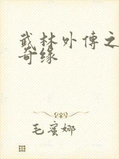 武林外传之同福奇缘封面