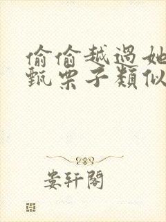 偷偷越过她by甄栗子类似小说封面