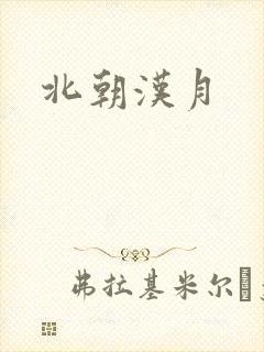 北朝汉月