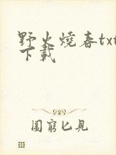 野火烧春txt下载