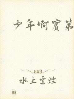 少年啊宾第二部封面