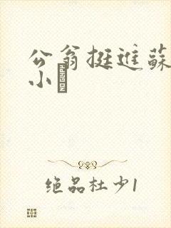 公翁挺进苏玥的小泬