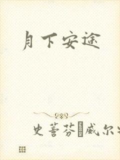 月下安途封面
