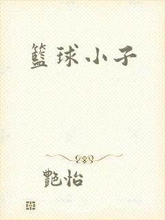 篮球小子封面