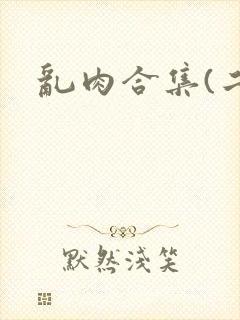 乱肉合集(二)封面