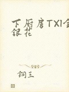 下厨房TXl金银花