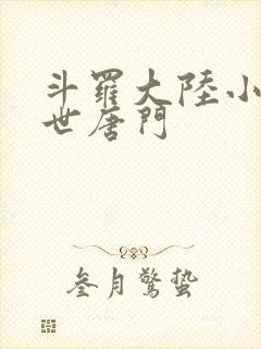 斗罗大陆小说绝世唐门封面