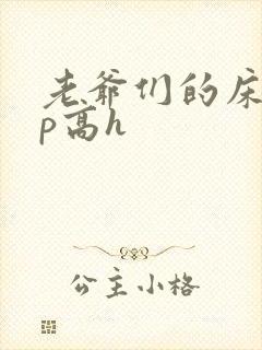 老爷们的床奴np高h