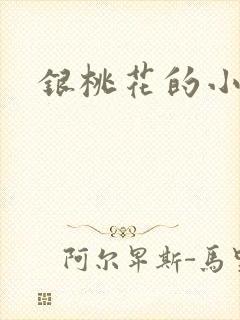 银桃花的小说