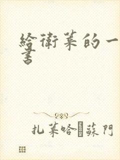 给卫莱的一封情书