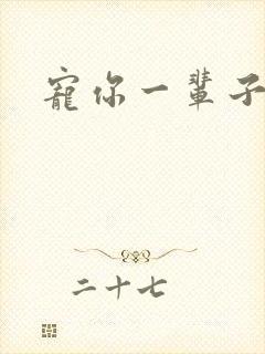 宠你一辈子封面