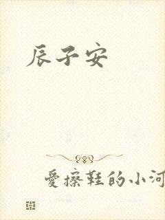 辰子安封面
