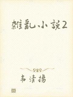 杂乱小说2