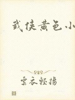 武侠黄色小说封面