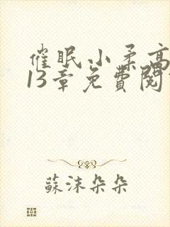 催眠小柔高达第13章免费阅读