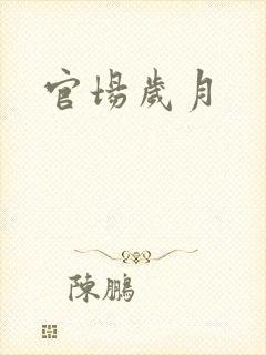 官场岁月