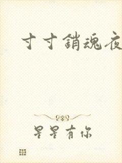 寸寸销魂夜春光