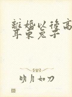 离婚以后高干 耳东兔子