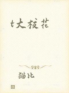 t大校花