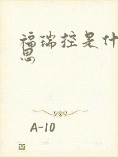 福瑞控是什么意思