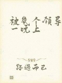 被几个领导玩弄一晚上