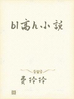 bl高h小说