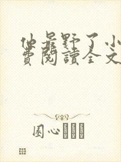 他最野了小说免费阅读全文