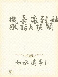 机长脔到她哭h粗话h视频