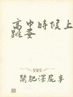 高中时候上课带跳蚤封面