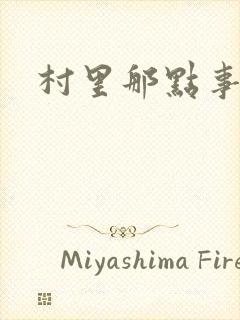 村里那点事儿封面