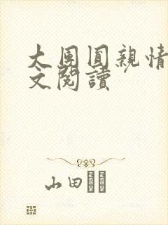 大团圆亲情会全文阅读封面