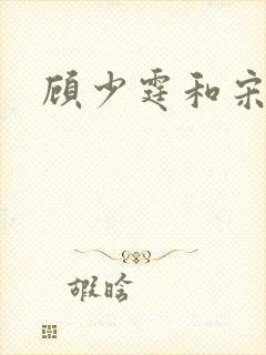 顾少霆和宋斯曼