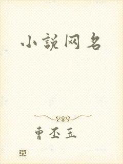 小说网名