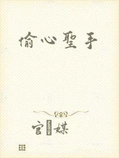 偷心圣手封面