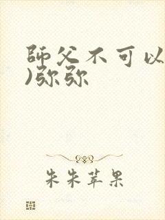 师父不可以(限)弥弥