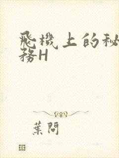 飞机上的秘密服务H