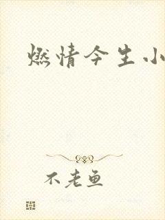 燃情今生小说封面
